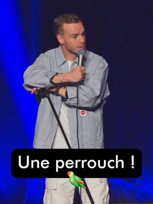 A post by @thomasangelvy on TikTok caption: En spectacle partout lien en bio 🥳