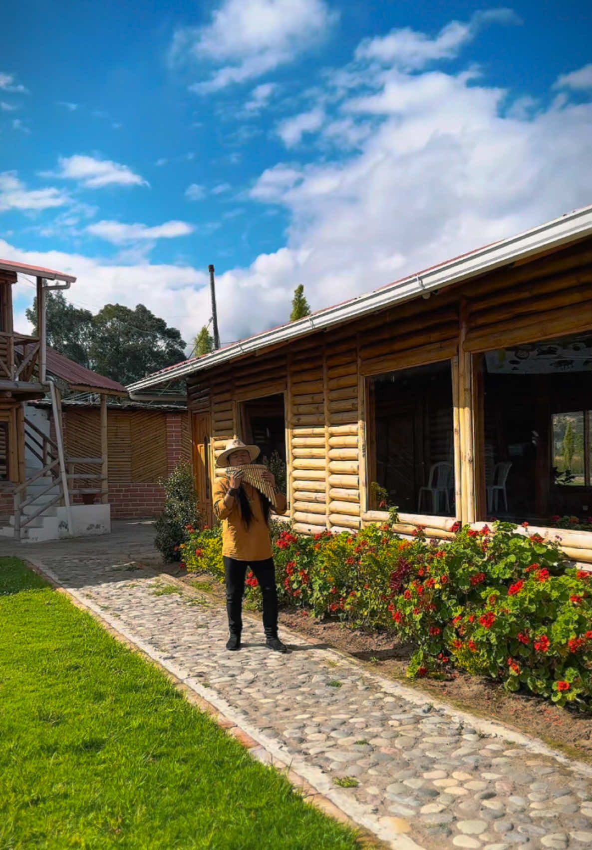 A post by @raimy_salazar_official on TikTok caption: Cucurrucucú Paloma - Panflute #LiveMusic #andean #nature #relax #otavalo #ecuador 