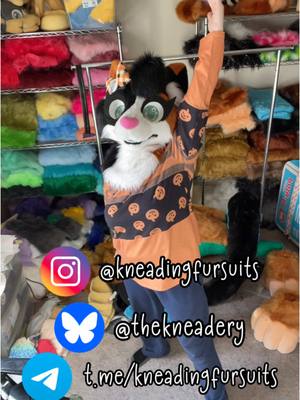 A post by @felixthecalico on TikTok caption: This is so fun. I love this country. 🙃 #furry #fursuit #fursuiter #boburnham #tiktokban #tiktokbanned 