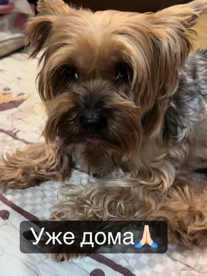 A post by @anchutka22 on TikTok caption: Всё прошло успешно, впереди восстановление, капельницы и уколы…