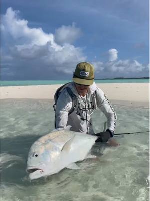 A post by @flylords on TikTok caption: One fish, two fish, not a redfish or a bluefish…Giant Trevallys! ~ Check out this week’s Angler Story of the Week at [FLYLORDSMAG.COM]! ~ 📸: @cullanashby ~ #flylords #flyfishing #fishing #GT