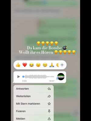 A post by @mistyhuda on TikTok caption: brobiert es direkt mit euren Bruder 😂 #bruderchallang #brudergedultstest #fyp #chat #whatsapp #viral #fyp #viral @hanirachwani 