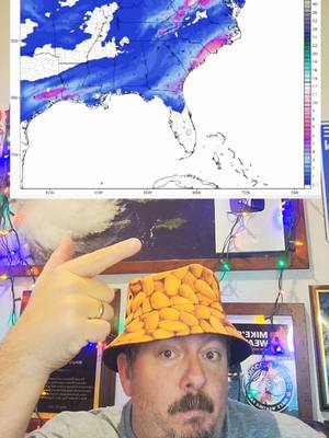 A post by @mikesweatherpage on TikTok caption: 01/13 Snow chatter is back for next week in the south and the east. Low confidence right now just wanted to keep you up to date. #weather #snomg #snow #mikesweatherpage #mwp #fyp 