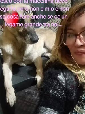 A post by @moanagenova7 on TikTok caption: #amore #animali #cane #cachorro 