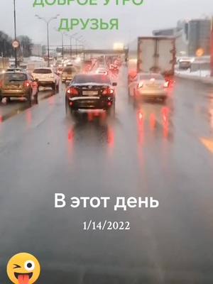 A post by @borodach68 on TikTok caption: #ВэтотДень #хулиган #бородач 