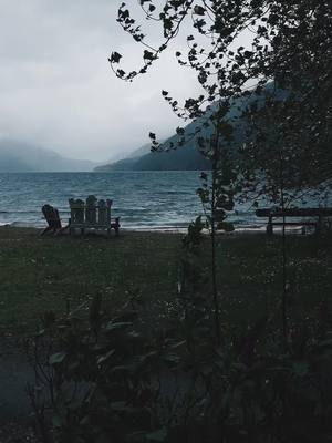 A post by @throughthepnw on TikTok caption: Forks, Washington - A memoir                                                                                                  Since TT is getting banned, follow my YouTube in my bio for more videos like this (but much longer!)  #pnw #twilight #washington 