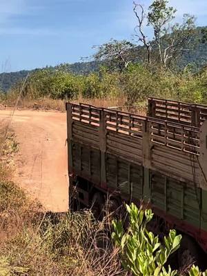 A post by @ochheng2006 on TikTok caption: ចេញពីព្រៃវិញហើយ😺🚛🤍ps👉🏻kk#FUSO #ក្រុមឡានដឹកនៅកម្ពុជា🚛🔰 