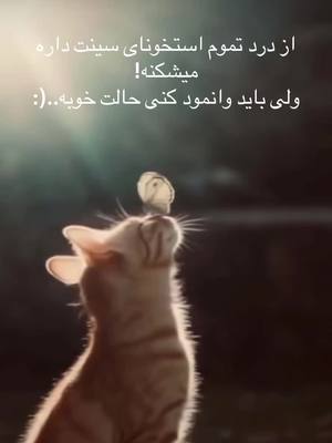 A post by @afghangirl374 on TikTok caption: از درد تموم استخوناى سينت داره ميشكنه! ولى بايد وانمود كنى حالت خوبه..(: