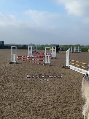 A post by @libbypartridge.equine on TikTok caption: well you have seen it all now 