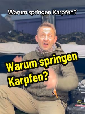 A post by @robinillner on TikTok caption: Warum springen Karpfen? Hier kommt die Antwort! 1 Kiemenspülen 2 Sauerstoff 3 Außenparasiten 4 Freude Was meinst du? 🎖️🎖️🎖️🎖️🎖️🎖️🎖️🎖️ Why jump carp? Here comes the answer! 1 gill wash 2 oxygen 3 external parasites 4 Joy What do you mean? #robinillner #carp #carpfishing #fishing #jump 