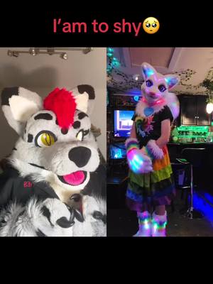 A post by @yukiro19892 on TikTok caption: #Duett mit @AuroraCrystalhart #furryfandom #furry #Furryfandom #furry4life #foryou #foryoupage #fursuitersoftiktok #Fuirsuit #germanfurry 