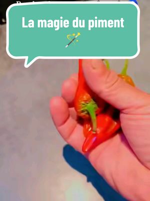 A post by @lessecretsdemerlin on TikTok caption: Stop à la mauvaise énergie🧿#🧿#protectionspell #purification #magician  #piment 