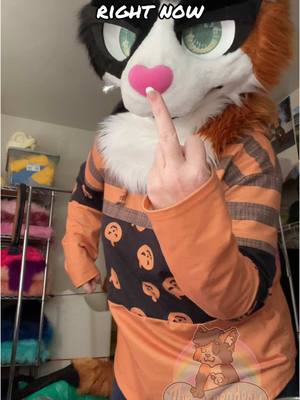 A post by @felixthecalico on TikTok caption: I suppose now I can hope for peoples’ attention spans to come back…? Maybe? 😒 #furry #fursuit #tiktokban #fursuiting 