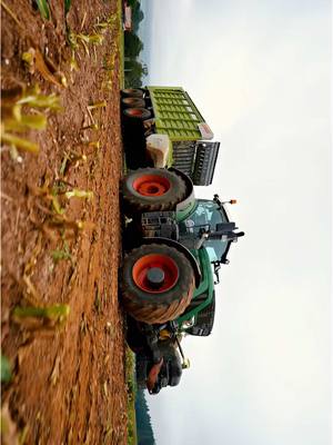 A post by @grabofoto on TikTok caption: Cornhub premium 👄🌽 #fendt #claas #landwirt  @Lennard_926 @Simon Schlehecker @Max Moldenhauer 