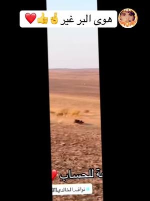 A post by @911_nw on TikTok caption: هوى البر غير🤞👍❤️#CapCut #هوى #البر #foryou #fyp #viral #نواف_الخالدي911 #capcut #الاردن #nw_f16 #nw_0911 #911_nw #الاردن #الحلابات_الشرقي_الزرقاء_الاردن #اكسبلور #حلال_ابوطلال_الخالدي #اريم @🇸🇦أم الشريف🇸🇦 @نواف الخالدي911 احتياط @أريم  Arem  @S A L E M  @نواف الخالدي911  @أريم  Arem 