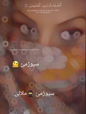 A post by @spojmiy0 on TikTok caption: #CapCut #deuchschland🇩🇪 #afghanistan #afghanistan🇦🇫 #هزاره_تاجک_ازبک_پشتون_ترکمن_زنده_باد🤝🇦🇫 #ژوندی_دې_وي_لوی_افغانستان🇦🇫❤ 