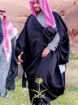 A post by @nh_28nn on TikTok caption: #محمد_بن_سلمان محظور حسابنا🤨