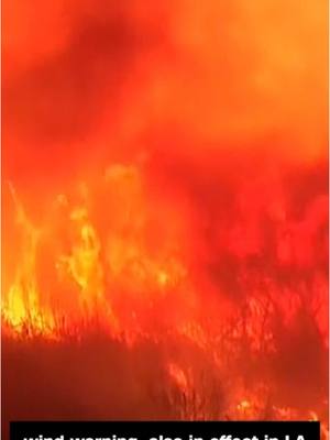 A post by @joysparkleshine on TikTok caption: #fire #california #californiafire #californiafires #la #losangeles #lafires #losangelasfires #fires #palisades #palisadesfire #naturaldisaster #wind #omg #wow #facts #dog #dogsoftiktok #rescue #911 #help #fyp #foryou #foryoupage #foryourpage #fypシ #news #breaking #breakingnews