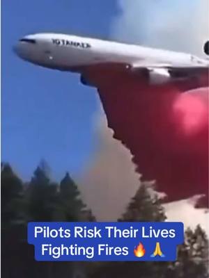 A post by @joysparkleshine on TikTok caption: Pilots Risk Their Lives Fighting Fires 🔥 🙏  #fire #california #californiafire #californiafires #la #losangeles #lafires #losangelasfires #fires #palisades #palisadesfire #naturaldisaster #wind #omg #wow #facts #dog #dogsoftiktok #rescue #911 #help #fyp #foryou #foryoupage #foryourpage #fypシ #news #breaking #breakingnews #wildfires #californiawildfire #californiawildfires #pasedena #mandevillecanyon #encino #shermanoaks #brentwood