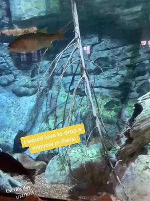 A post by @outdoorswithdaniel on TikTok caption: My favorite place. #basspro #bassproshops #onthisday  