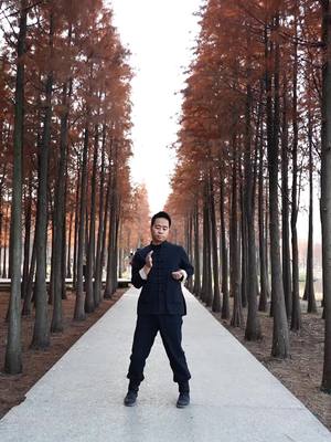 A post by @zintranwc on TikTok caption: Follow Master Liu and learn more Wing Chun knowledge.#kungfu #shaolin #wingchun #marsterliu 