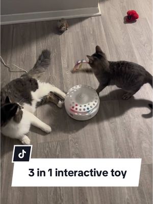 A post by @br1.tries on TikTok caption: This interactive cat toy will keep your cat engaged all day! #interactivecattoy #indoorcatlife #cattoy #cattoys #catsoftiktok #catparent