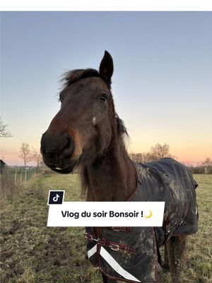 A post by @llucistar on TikTok caption: VLOG du soir Bonsoir !🌙✨ #cavaliere #viemavie #Vlog #horse #chevalaupre #equestrian #equitation #cavaliereproprietaire #cheval #chevalpassion #hiver #couverturecheval 