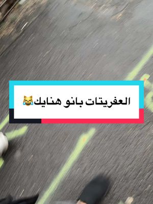 A post by @_queenamira on TikTok caption: #صباحكم_أحلى_صباح #الشعب_الصيني_ماله_حل😂😂 #فرنسا🇨🇵_بلجيكا🇧🇪_المانيا🇩🇪_اسبانيا🇪🇸 #المغرب🇲🇦تونس🇹🇳الجزائر🇩🇿 #اكسبلور #دبي🇦🇪 