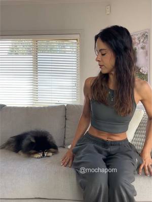 A post by @mochapom on TikTok caption: When my dog thinks I’ve left 🥺 #pomeranian #dog 