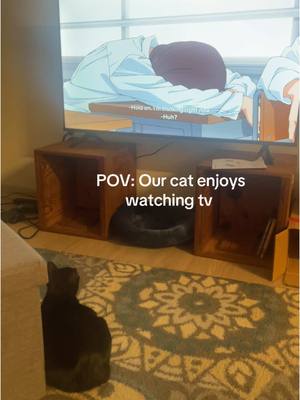 A post by @nerdywinter on TikTok caption: She watched for about 20 min until my bf accidently scared her by moving #blackcat #catsoftiktok #catlover #catparents #catadoption 