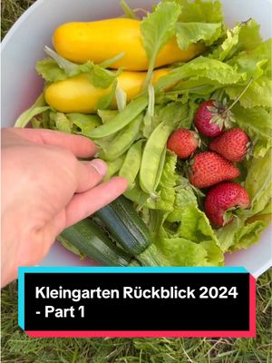 A post by @evy.nfc on TikTok caption: Ob ich den Garten 2025 noch habe? Mal schauen 👀🧡 #kleingarten #jahresrückblick #2024 #garten #DIY @lisa.legt.los @MYKA 