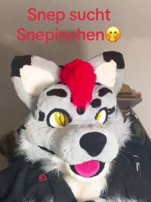 A post by @yukiro19892 on TikTok caption: #furryfandom #furry #furry4life #foryou #foryoupage #fursuitersoftiktok #Fuirsuit #germanfurry 