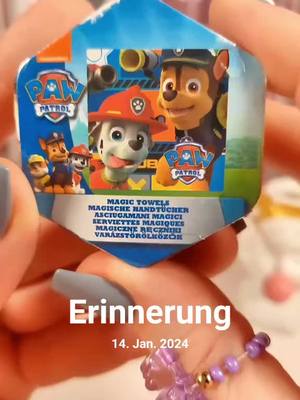 A post by @sunnie.creative on TikTok caption: #erinnerung  #pawpatrol #pawpatroltiktok  #unboxing #toys #toyunboxing 