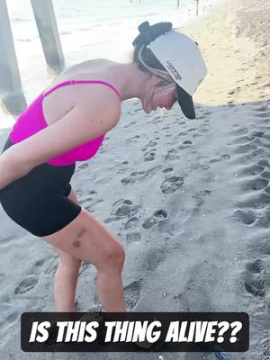 A post by @brennentaylor on TikTok caption: What is this thing? #florida #strange 