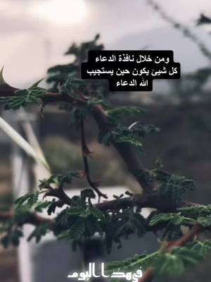 A post by @asdmakkh3 on TikTok caption: #في هذا اليوم 