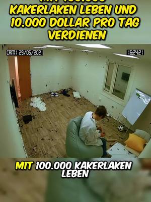 A post by @familiendoktor on TikTok caption: Mit 100.000 Kakerlaken leben und 10.000 Dollar pro Tag verdienen