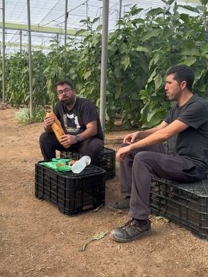 A post by @juantiktok on TikTok caption: Hoy no come….parece que mi padre no ha traído lo que le he pidió 👀  #españa #fyp #juanymohamed #marruecos #almeria #pimiento #berejenas #agriculture #agro #parati #invernadero #ejido #paratiiiiiiiiiiiiiiiiiiiiiiiiiiiiiii #plants #plantstiktok #berja #lasnorias #berja #andalucia #españa🇪🇸marruecos🇲🇦 #mrruecos🇲🇦vs🇪🇸españa #humor #comida #bocadillo #nocomparto #bio @Mohamed tiktok 