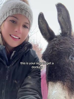 A post by @libbypartridge.equine on TikTok