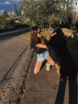 A post by @veroonicalopez1918 on TikTok caption: Amo este trend aunque Rocky yo nos amodiemos 🐶🐾 #fyp #perritos 