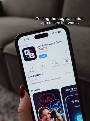 A post by @marvellen on TikTok caption: Confirmed: DogTok actually works! 🤩 Who’s ready to chat with their pup? #dogtok #dogtranslator #ad 