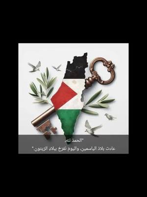 A post by @queen20001981 on TikTok caption: #غزه_فلسطين🇵🇸 