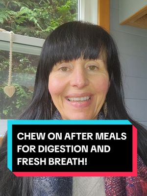 A post by @purelyayurveda on TikTok caption: 🌿SYMPTOM FREE MENOPAUSE | Chew on these after your meals to help improve your digestion your breath and for healthy teeth and gums 😁🌿 Stay connected on Instagram! @purelyayurveda Free Masterclass! Come learn how to simply and naturally balance your hormones so that you can enjoy a life full of energy and vibrant health 🌿 Link in bio ✨️ #digestion #headaches #balancedhormones #symptomfree #perimenopause #menopause #ayurveda                                                