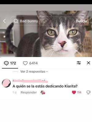 A post by @sakurakittens on TikTok caption: Seguidores o haters 😅 ?