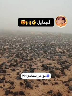 A post by @911_nw on TikTok caption: ماهي الجمايل ✍️❤️👍#capcut #الجميل #الطيب #fyp #foryou #viral #نواف_الخالدي911 #nw_f16 #nw_0911 #911_nw #حلال_ابوطلال_الخالدي #الحلابات_الشرقي_الزرقاء_الاردن #الاردن #السعودية #اكسبلور #ترند @🇸🇦أم الشريف🇸🇦 @نواف الخالدي911 احتياط @الكردي 🦅  @2214 ـــــa  @الكردي 🦅  @نواف الخالدي911 احتياط 