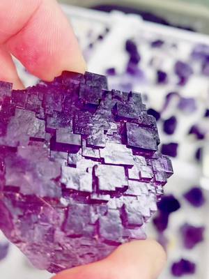 A post by @william_crystals on TikTok caption: Fluorite #wholesale #gemstone #minerals #shopping #fluorite 