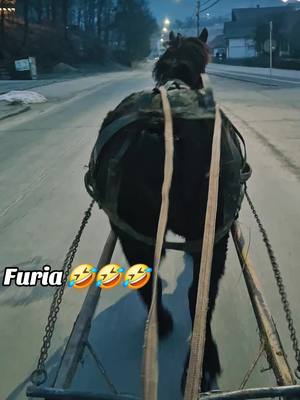 A post by @jm2308.1 on TikTok caption: Furia 🤣🤣🤣#romania #cairomania #fyp 