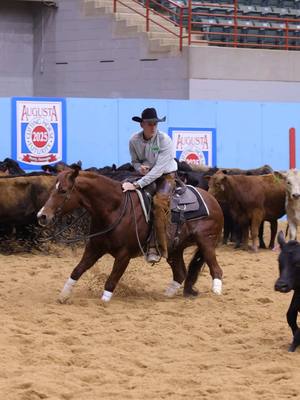 A post by @darespain on TikTok caption: Augusta Futurity 2025 Rositas Rojo Gato and David Berry winning two checks in the open classes #ncha #augustafuturity #cuttinghorse #cowboy #thatdoesimpressme #aqha #quarterhorse @David Berry 