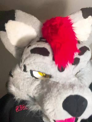 A post by @yukiro19892 on TikTok caption: #furryfandom #furry #furry4life #foryou #foryoupage #fursuitersoftiktok #Fuirsuit #germanfurry #Furryfandom #