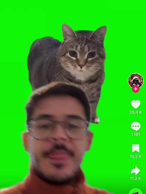 A post by @noholito on TikTok caption: Je teste le filtre chat 