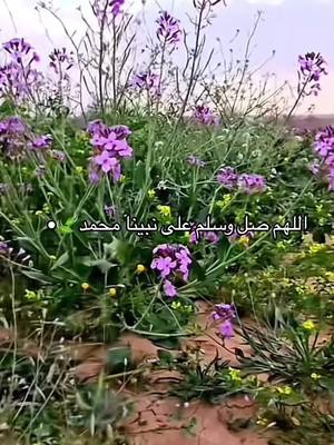 A post by @norah_20218 on TikTok caption: ##اكسبلور #اكسبلور #اكسبلور 